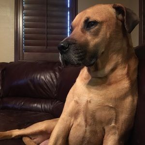 Meet your Posher, Rick